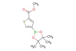 eMolecules​ 4-(4,4,5,5-Tetramethyl-[1,3,2]dioxaborolan-2-yl)-thiophene-2-carboxylic