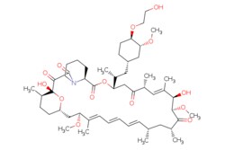 eMolecules​&nbsp;Everolimus | 159351-69-6 | MFCD00929329 | 1g