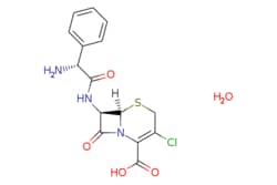 eMolecules​ Cefaclor monohydrate | 70356-03-5 | MFCD00071999 | 1g, Quantity: