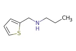 eMolecules​&nbsp;Propyl(thiophen-2-ylmethyl)amine | 751436-48-3 | MFCD04506878 | 1g