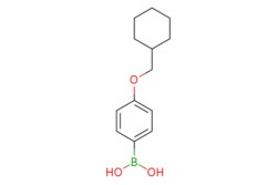 eMolecules​ [4-(Cyclohexylmethoxy)phenyl]boranediol | 938443-35-7 | MFCD11183183
