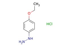 eMolecules​&nbsp;(4-Ethoxyphenyl)hydrazine hydrochloride | 39943-51-6 | MFCD12403348 | 1g
