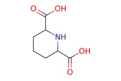 eMolecules​&nbsp;Piperidine-2,6-dicarboxylic acid | 499-82-1 | MFCD00986614 | 1g