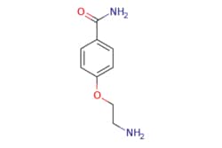 eMolecules​ 4-(2-Aminoethoxy)benzamide | 50714-69-7 | MFCD10037136 | 1g,