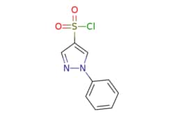 eMolecules​&nbsp;1-Phenylpyrazole-4-sulfonyl chloride | 18336-37-3 | MFCD11102951 | 1g