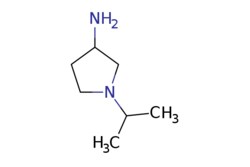 eMolecules​ 1-(Propan-2-yl)pyrrolidin-3-amine | 802293-14-7 | MFCD09026515