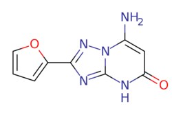 eMolecules​ 7-Amino-2-(2-furyl)[1,2,4]triazolo[1,5-a]pyrimidin-5(4H)-one | 1211430-31-7 | MFCD15204036 | 1g