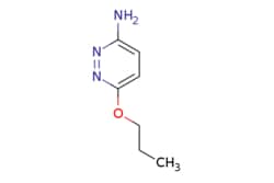 eMolecules​ 6-Propoxypyridazin-3-amine | 90008-50-7 | MFCD09835392 | 1g,