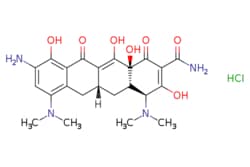 eMolecules​&nbsp;9-Amino minocycline, HCl | 149934-21-4 | MFCD00919549 | 1g
