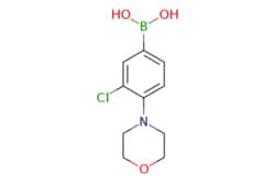 eMolecules​ 3-Chloro-4-morpholinophenylboronic acid | 1426246-59-4 | MFCD16660219