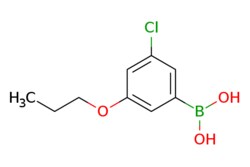 eMolecules​ 3-Chloro-5-propoxyphenylboronic acid | 1256345-74-0 | MFCD16660281