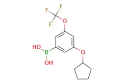 eMolecules​&nbsp;3-(Cyclopentyloxy)-5-(trifluoromethoxy)phenylboronic acid | 1256346-04-9 | MFCD16295065 | 1g