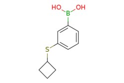 eMolecules​ 3-(Cyclobutylthio)phenylboronic acid | 1256346-42-5 | MFCD17015747