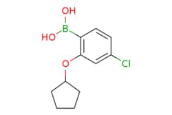 eMolecules​&nbsp;4-Chloro-2-(cyclopentyloxy)phenylboronic acid | 1256355-05-1 | MFCD17015771 | 1g