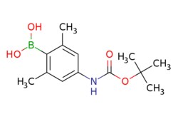 eMolecules​&nbsp;1256355-11-9 | 4-(tert-Butoxycarbonylamino)-2,6-dimethylphenylboronic acid | Combi-Blocks | MFCD17214251 | 265.120 | C13H20BNO4 | 97.000 | Cc1cc(NC(=O)OC(C)(C)C)cc(C)c1B(O)O | 1g | 117524799