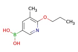 eMolecules​ 5-Methyl-6-propoxypyridine-3-boronic acid | 2096332-81-7 |