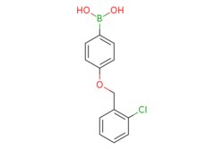 eMolecules​ 4-(2-Chlorophenylmethoxy)phenylboronic acid | 871125-90-5 |