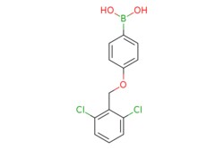 eMolecules​ 4-(2,6-Dichlorophenylmethoxy)phenylboronic acid | 1256355-71-1
