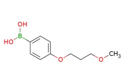 eMolecules​ 4-(3-methoxypropoxy)phenylboronic acid | 279262-35-0 | MFCD12807145