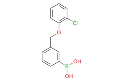 eMolecules​ 3-(2-Chlorophenoxymethyl)phenylboronic acid | 1256358-67-4