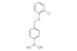 eMolecules​ 4-(2-chlorophenoxymethyl)phenylboronic acid | 1256358-69-6