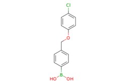 eMolecules​ 4-(4-chlorophenoxymethyl)phenylboronic acid | 1256358-72-1