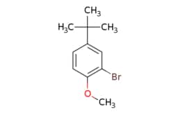 eMolecules​ 2-Bromo-4-tert-butyl-1-methoxybenzene | 41280-65-3 | MFCD17214261