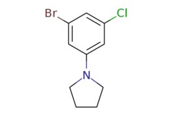 eMolecules​ 1-(3-Bromo-5-chlorophenyl)pyrrolidine | 1261895-87-7 | MFCD18311877