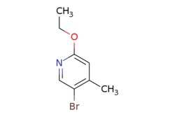 eMolecules​ 5-Bromo-2-ethoxy-4-methylpyridine | 610279-04-4 | MFCD06254609