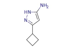eMolecules​ 3-Cyclobutyl-1h-pyrazol-5-amine | 326827-21-8 | MFCD11187387