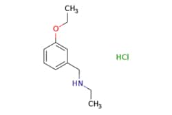 eMolecules​&nbsp;N-(3-Ethoxybenzyl)ethanamine hydrochloride | 1048948-05-5 | MFCD07108409 | 1g