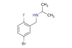 eMolecules​&nbsp;1-Bromo-4-fluoro-3-(isopropylaminomethyl)benzene | 1016741-73-3 | MFCD09810839 | 1g