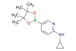 eMolecules​ N-Cyclopropyl-5-(4,4,5,5-tetramethyl-1,3,2-dioxaborolan-2-yl)pyridin-2-amine