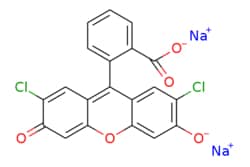 eMolecules​ 2',7'-Dichlorofluorescein sodium salt | 80471-69-8 | MFCD00070511