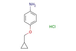 eMolecules​&nbsp;4-(Cyclopropylmethoxy)aniline HCl | 1158573-73-9 | MFCD15200817 | 1g