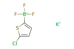 eMolecules​ Potassium (5-chlorothiophen-2-yl)trifluoroborate | 1190883-05-6