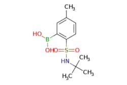 eMolecules​ 2-(t-Butylsulfamoyl)-5-methylphenylboronic acid | 183000-60-4
