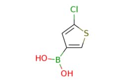 eMolecules​ 5-Chlorothiophene-3-boronic acid | 199659-23-9 | MFCD06796321
