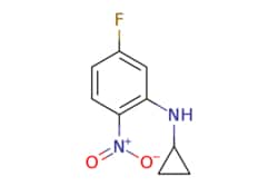 eMolecules​ N-Cyclopropyl-5-fluoro-2-nitroaniline | 1248276-34-7 | MFCD16744208
