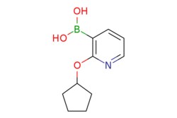 eMolecules​ 2-(Cyclopentyloxy)pyridine-3-boronic acid | 1621416-46-3 | MFCD19684109 | 1g