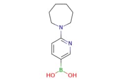 eMolecules​ 6-(Azepan-1-yl)pyridine-3-boronic acid | 1227612-21-6 | MFCD18382846
