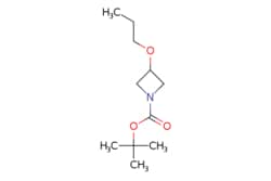 eMolecules​ tert-Butyl 3-propoxyazetidine-1-carboxylate | 1314988-15-2