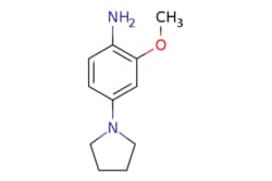eMolecules​ 2-Methoxy-4-(pyrrolidin-1-yl)aniline | 143525-62-6 | MFCD11848953