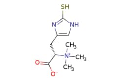 eMolecules​ L-(+)-Ergothioneine | 497-30-3 | MFCD00167474 | 1g, Quantity: