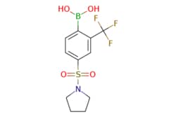 eMolecules​&nbsp;4-Pyrrolidinosulfonyl-2-trifluoromethylphenylboronic acid | 2096338-19-9 | MFCD19981518 | 1g