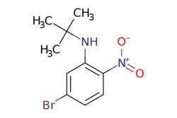 eMolecules​ 5-Bromo-N-tert-butyl-2-nitroaniline | 1163707-73-0 | MFCD19981542
