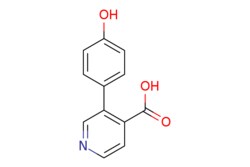 eMolecules​&nbsp;1258625-94-3 | 3-(4-Hydroxyphenyl)isonicotinic acid | Combi-Blocks | MFCD18085869 | 215.208 | C12H9NO3 | 98.000 | OC(=O)c1ccncc1-c1ccc(O)cc1 | 1g | 457921028