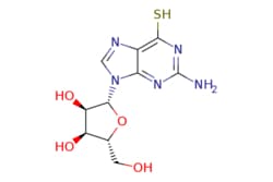 eMolecules​ 6-Thioguanosine | 85-31-4 | MFCD00005736 | 1g, Quantity: Each