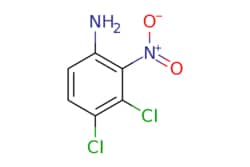 eMolecules​&nbsp;3,4-Dichloro-2-nitroaniline | 958804-40-5 | MFCD07787518 | 1g