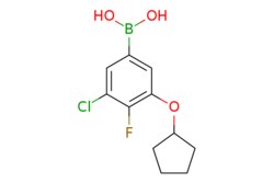 eMolecules​&nbsp;3-Chloro-5-(cyclopentyloxy)-4-fluorophenylboronic acid | 2096339-30-7 | MFCD20441823 | 1g